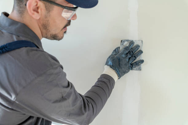 Best Residential Mold Inspection & Testing  in Stephens City, VA